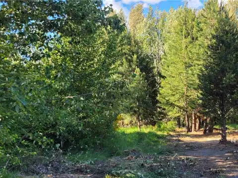 Lote de 1270 m2  en B° HÍPICO- Junín de los Andes