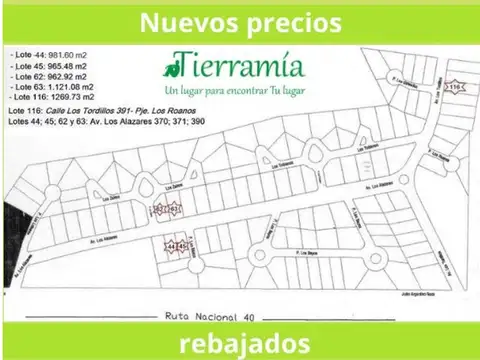 Avenida Los Tordillos 100