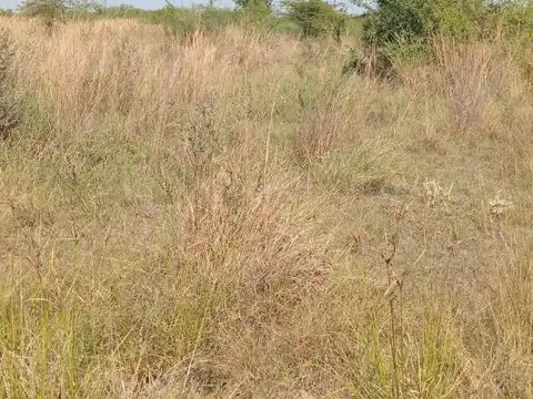Lote en Corrientes Bancario 20x50 Ruta12 Ruta 98 1000 mt2