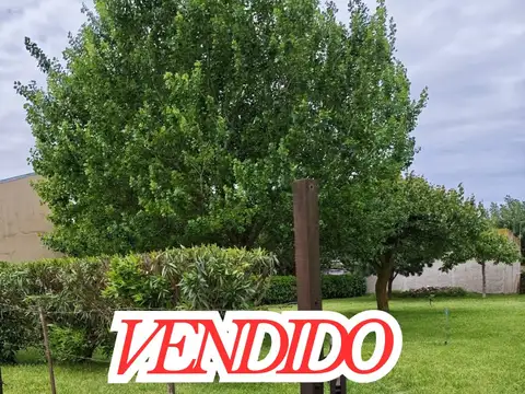   VENDIDO   TERRENO EN MAR DE COBO (MAR CHIQUITA)