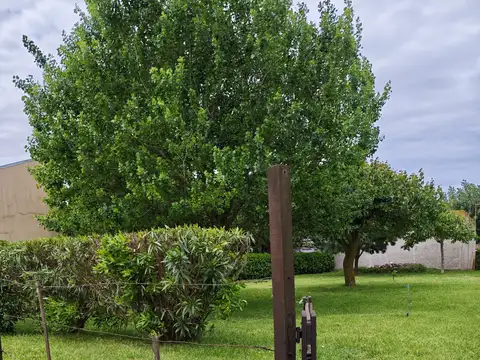 Santa Lucia