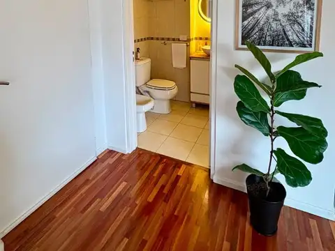 Departamento en Alquiler 17 años