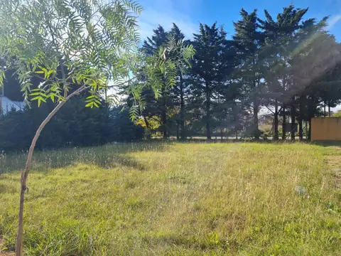 Terreno en Venta en Villa Elisa, USD 38.000