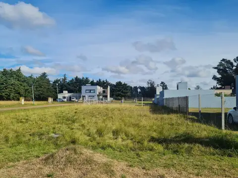 137  e/  423 y 424