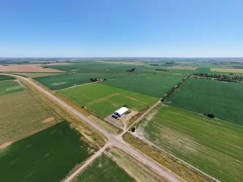 VENTA CAMPO AGRICOLA 28 HA FIRMAT