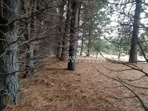 Terreno en Venta en Chapelco Golf & Resort, USD 90.000