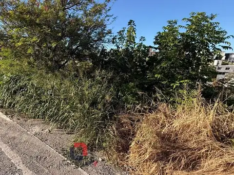 Cuesta Colorada