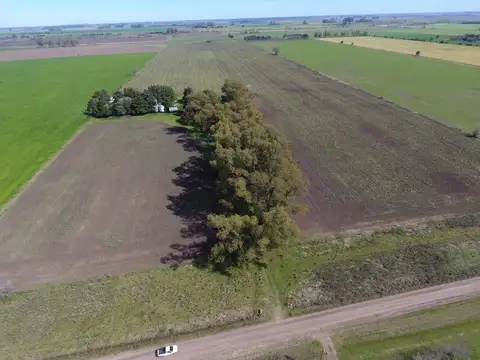 Terreno Campo  en Venta en Altos de Robles, Parada Robles, Exaltación de la Cruz