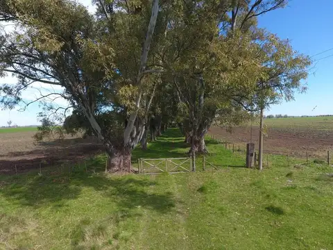 Terreno Campo  en Venta en Altos de Robles, Parada Robles, Exaltación de la Cruz