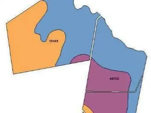 XINTEL(OTG-OTG-470) Campo - Venta - Uruguay, CANELONES