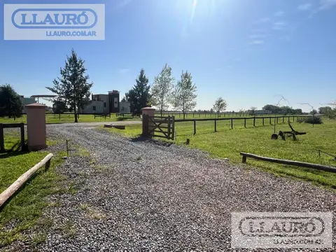 Ruta 205 Km 53, y Camino del 80