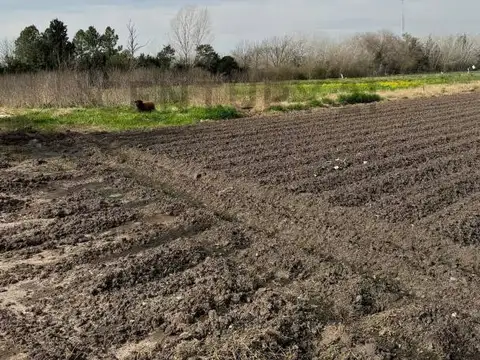 Venta de 3 hectareas en City Bell Las Banderitas