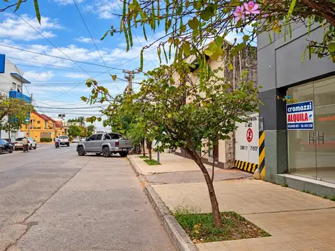 LOCALES - A LA CALLE - ZONA CENTRO, PRESIDENTE ROQUE SÁENZ PEÑA