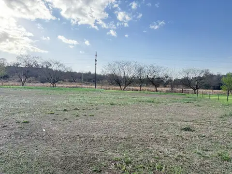 Club de Campo Las Cortaderas