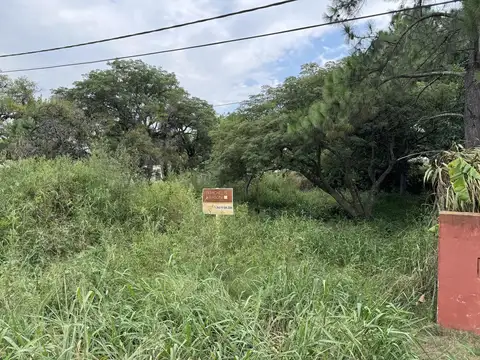 Terreno en Venta 31  mts Fondo