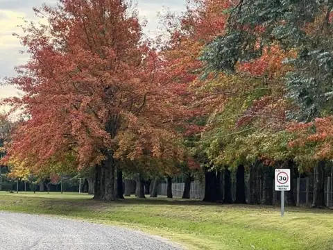 Terreno en Venta de 2000,0 m2