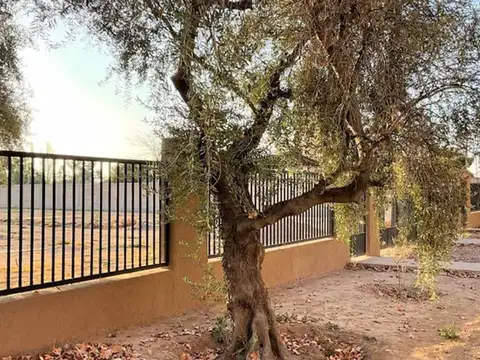 Terreno en Venta de 200,0 m2