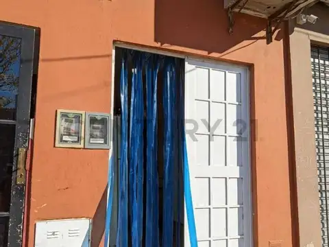 AMEGHINO 100