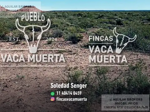 VENTA DE TERRENO EN VACA MUERTA