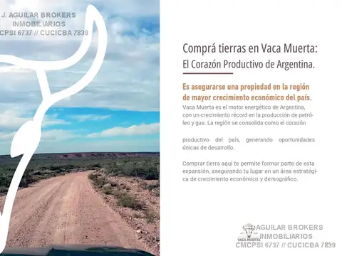 VENTA DE TERRENO EN VACA MUERTA