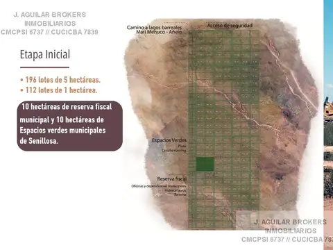 Terreno en Venta 10  mts Frente