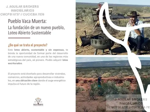 Terreno en Venta en Vaca Muerta, USD 30.000