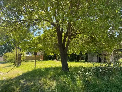 VENTA TERRENO EN GRUTLY