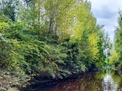 Rio Parana de las Palmas