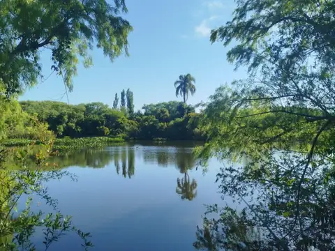 Chacra en venta de 18ha ubicado en San Carlos