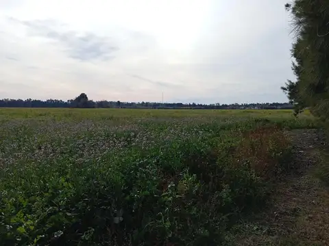 Excelente Campo a la venta.