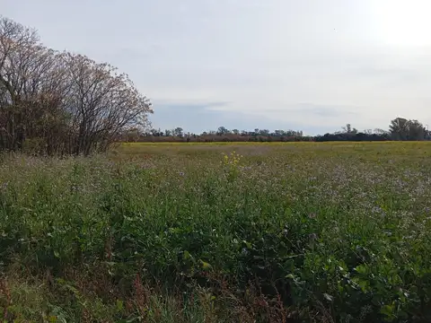 Colectora Autopista 5