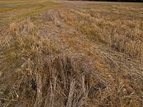 Excelente Campo a la venta.