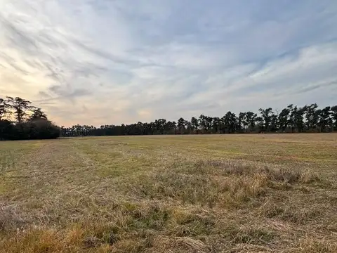 Excelente Campo a la venta.
