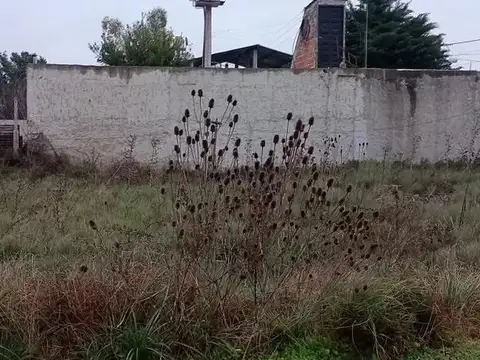 Terreno en Venta 16  mts Fondo