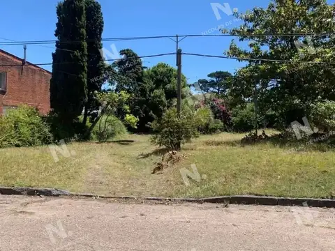 Terreno en Venta 15  mts Frente