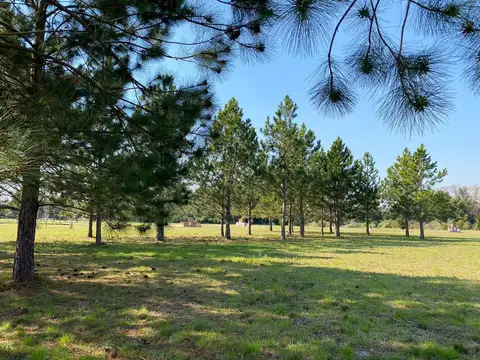 Terreno en Venta en Campana, USD 38.000