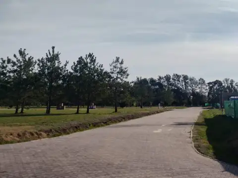 El Cardal 2