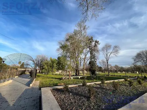 Av. los Olivos  al 1700