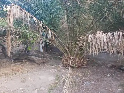 Terreno en Venta de 600,0 m2