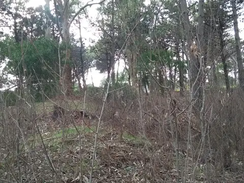 32 E/Pinamar y Necochea