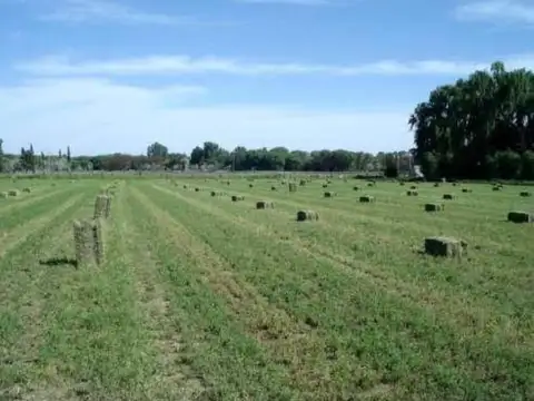 Venta Chacra 150 ha, Ruta Nac 250, km 264, Pomona, Valle Medio Rio Negro