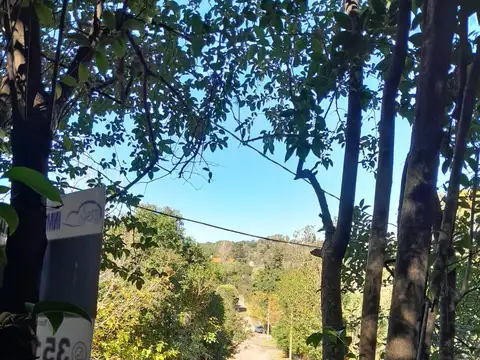 Fray Mamerto Esquiu 100, Piso 081 033