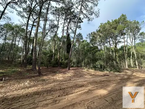 Terreno en Venta 40  mts Fondo