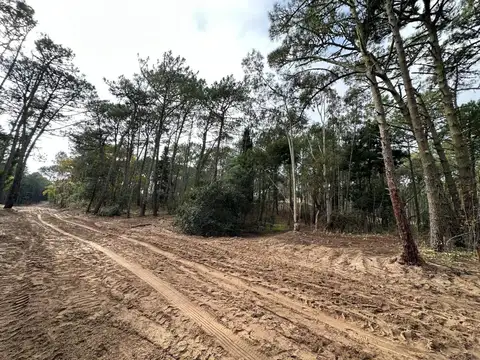 Terreno en Venta en Carilo, USD 107.000