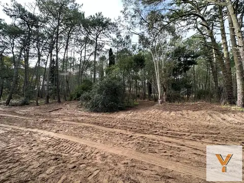 Terreno en venta - 1.200Mts2 - Cariló