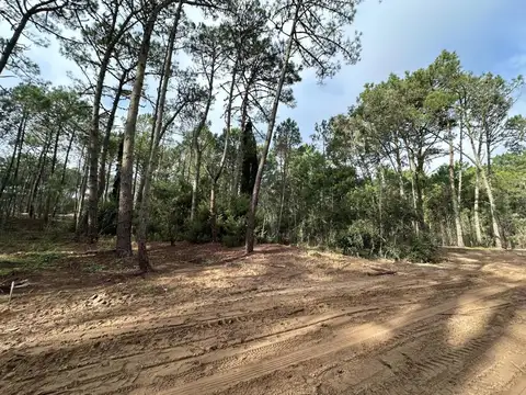 Terreno en Venta 40  mts Fondo