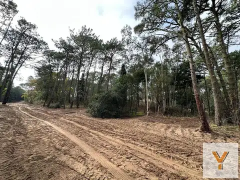 Terreno en Venta en Carilo, USD 107.000