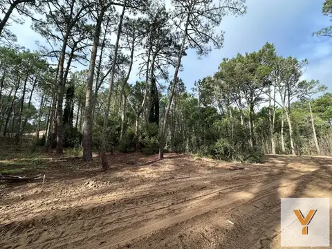 Terreno en Venta 30  mts Frente