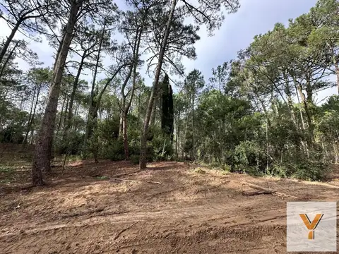 Terreno en Venta de 1200,0 m2