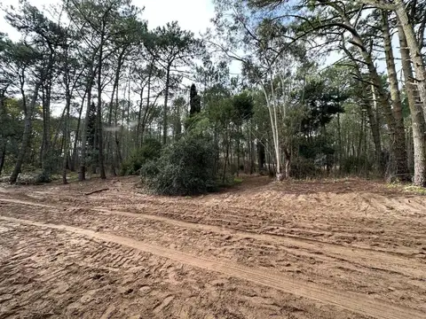Terreno en venta - 1.200Mts2 - Cariló